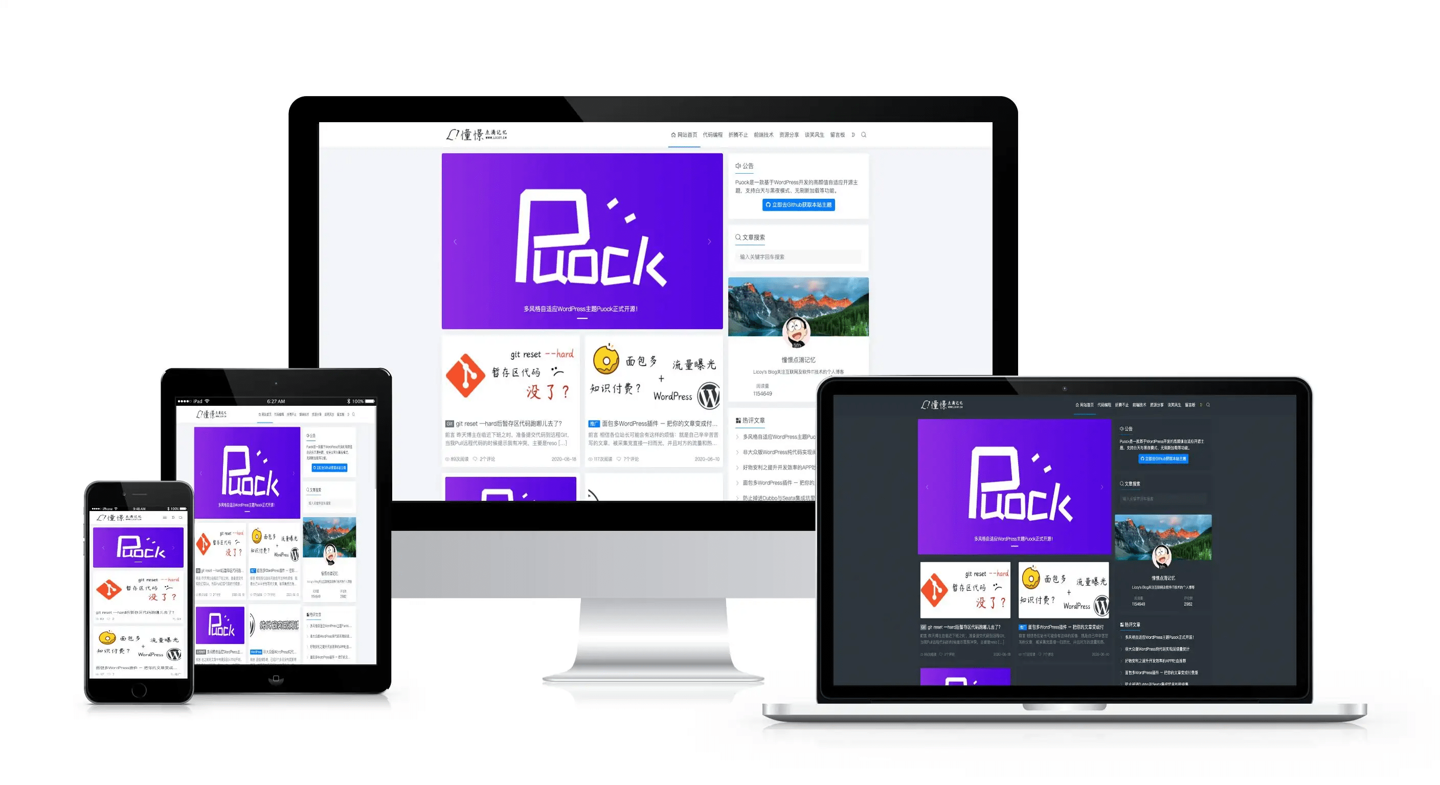 WordPress开发Puock高颜值自适应主题图1